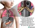 Foto - Mas detalles >>>